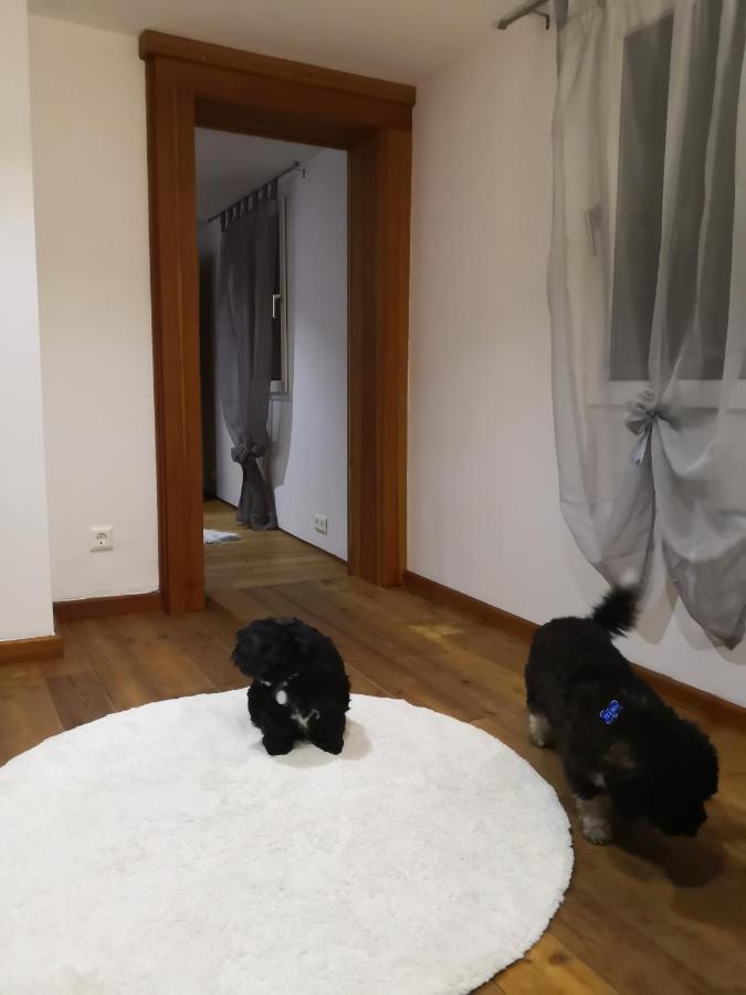 Haus Am Fluss Villa Kall Dış mekan fotoğraf